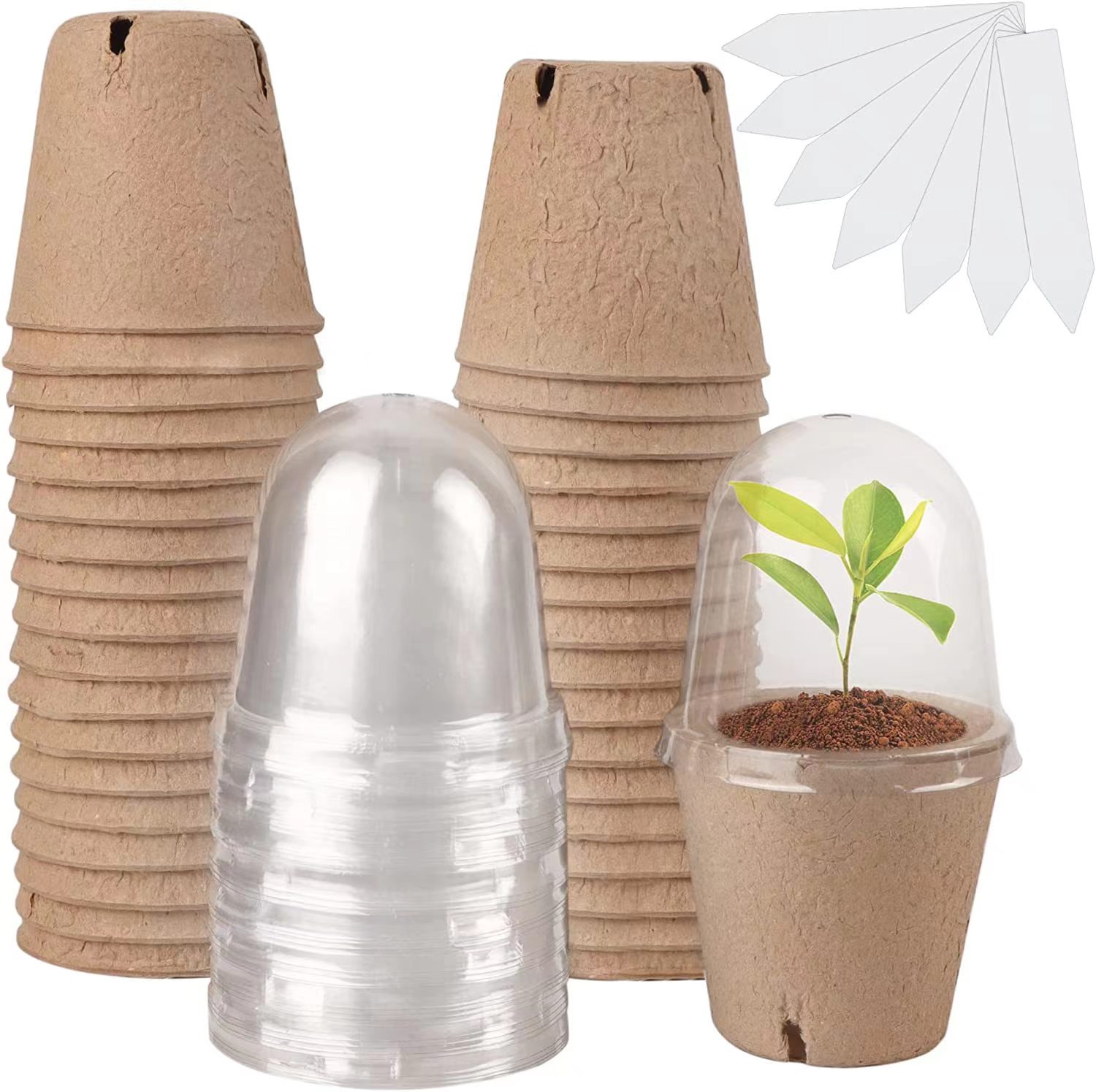 Indoor Herb Garden Kit - Macetas Biodegradables de Turba para Germinación,