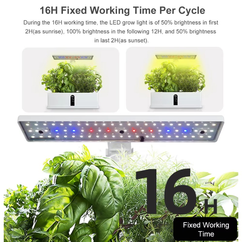 Sistema de Cultivo Hidropónico - Smart Garden Is reseña y precio