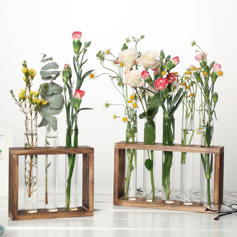 Macetero hidropónico de vidrio - Indoor Herb Garden Kit reseña y precio