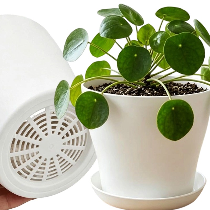 Juego de Macetas con Orificios - Indoor Herb Garden Kit reseña y precio